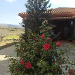 Olivos *
