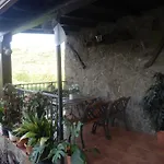 Olivos *