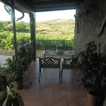 Olivos * Sotoserrano