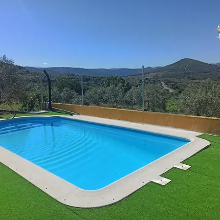 Olivos * Sotoserrano