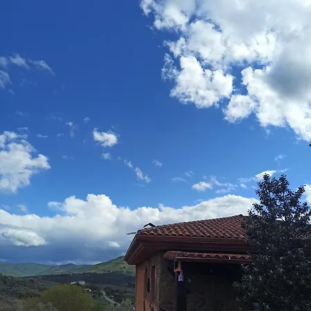 Olivos