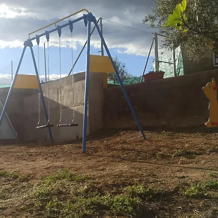 Olivos * Sotoserrano