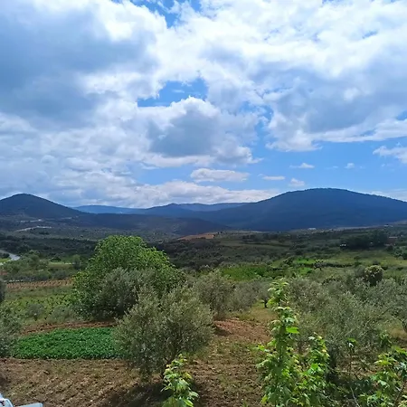Olivos