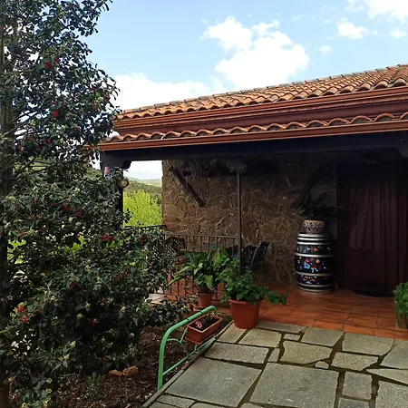 Olivos Sotoserrano