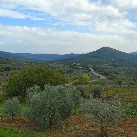 Olivos 乡村民宿 *