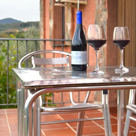 乡村民宿 Olivos *