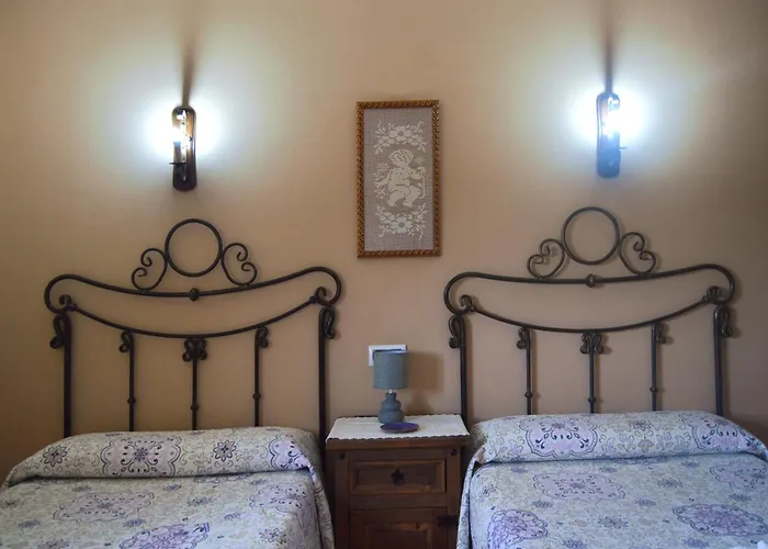 Olivos * Sotoserrano