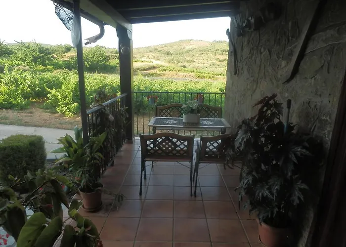 Olivos * Sotoserrano