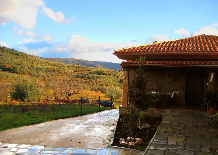 Olivos Landhuis Sotoserrano